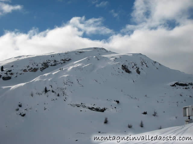 rifuguo sennes